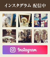 インスタグラム 配信中