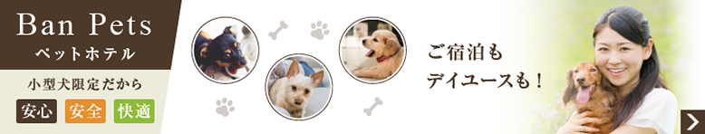 ワンちゃんのご宿泊・お預かりなら、東京・築地のペットホテル「バンペッツ（Ban Pets）」