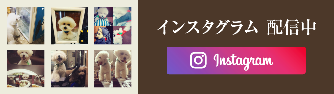 インスタグラム 配信中